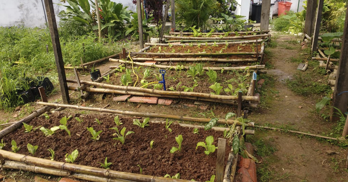 Portal Interna Medicina Natural