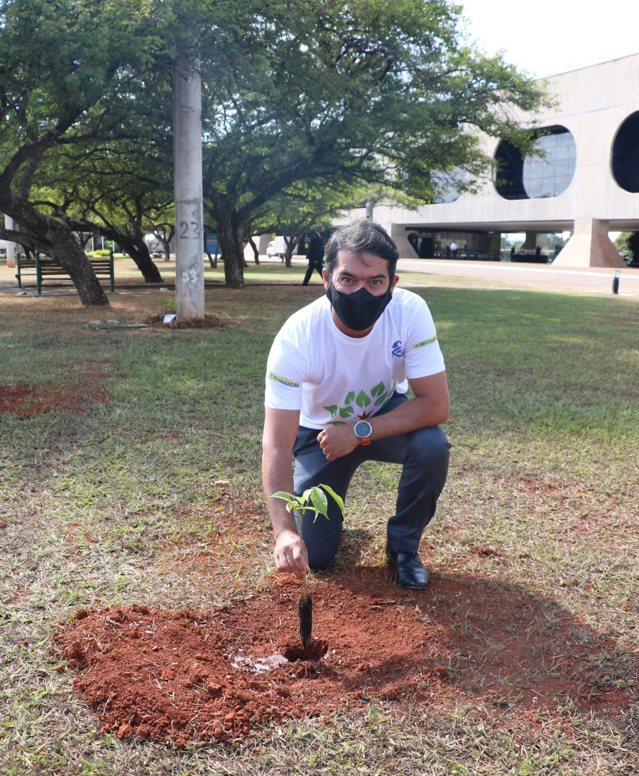 44 Rodrigo Vasconcelos plantando
